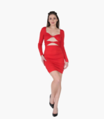 Chic Long Sleeve Party Dress For Women